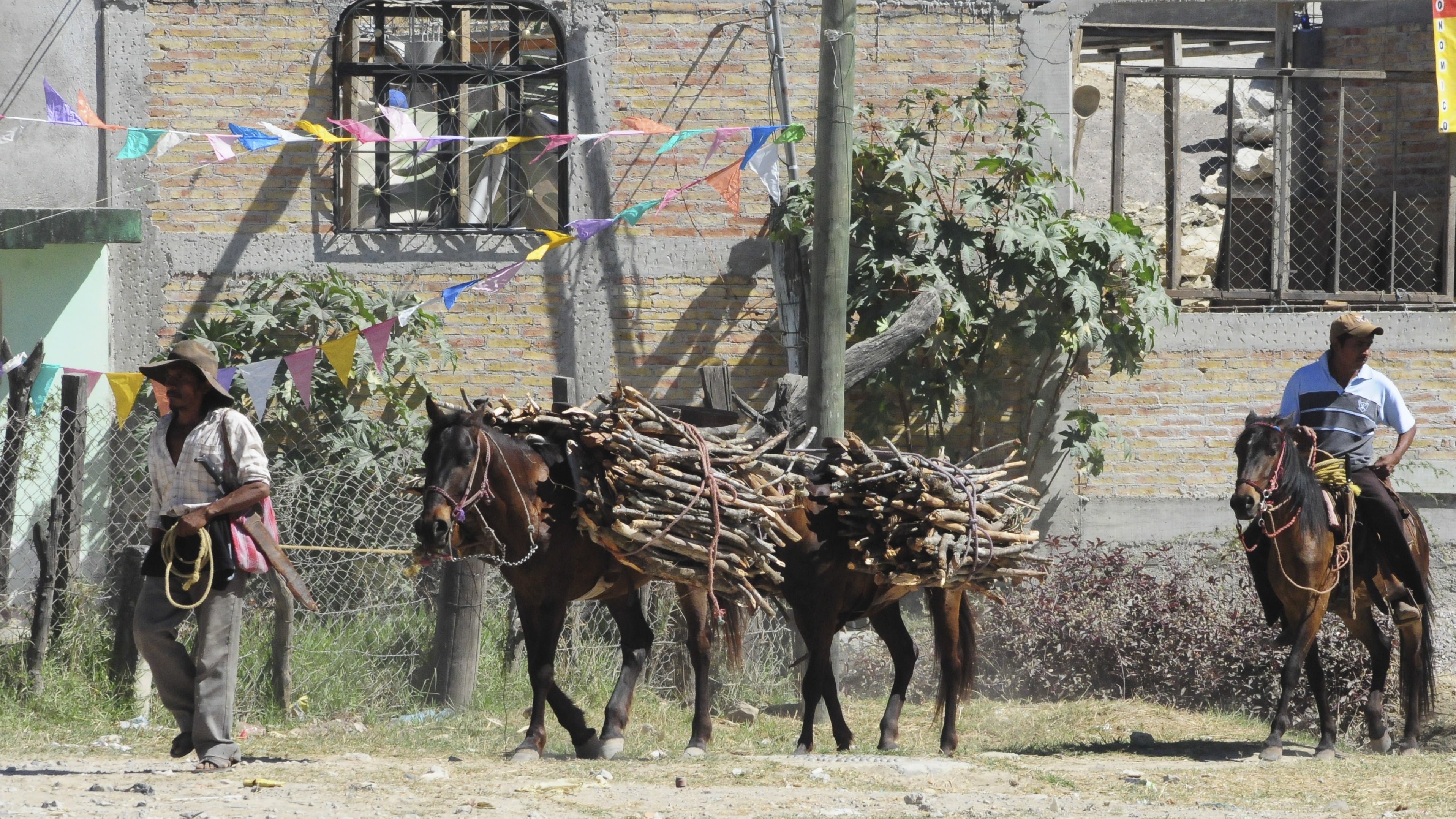TIXTLA, GUERRERO, 19MARZO2013.- En la imagen este campesino se dirige a con su caballos cargados de leña, que utilizara en la cocina de su vivienda. 
FOTO: JOSÉ I. HERNÁNDEZ /CUARTOSCURO.COM
