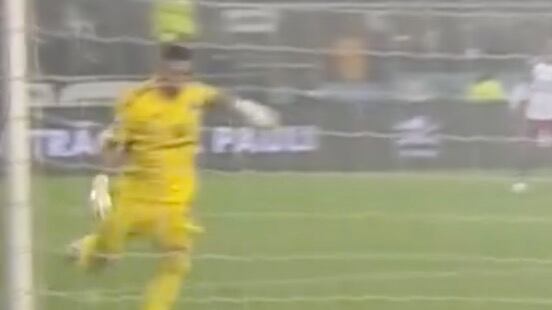 Portero del Hamburgo mete gol en propia puerta