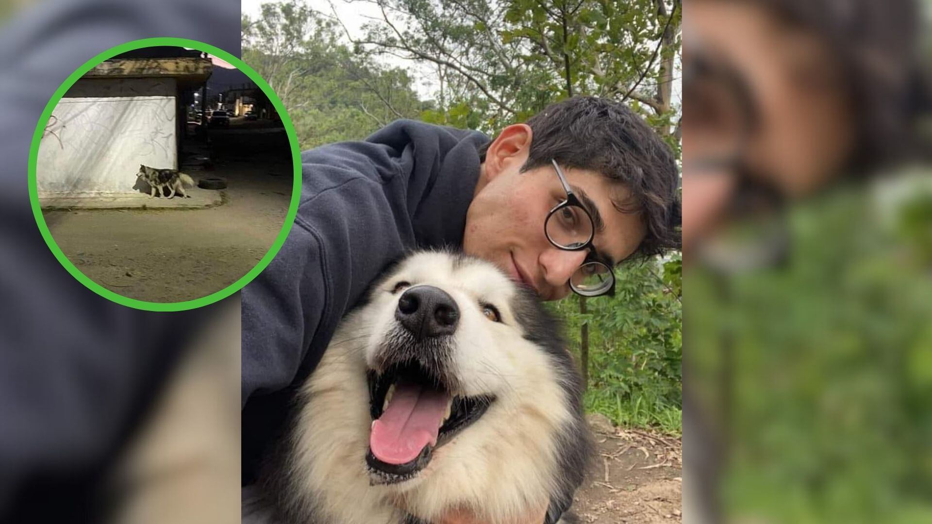 Boston le teme a los truenos, tiene problemas en su pata trasera derecha y tiene aproximadamente ocho años de edad.