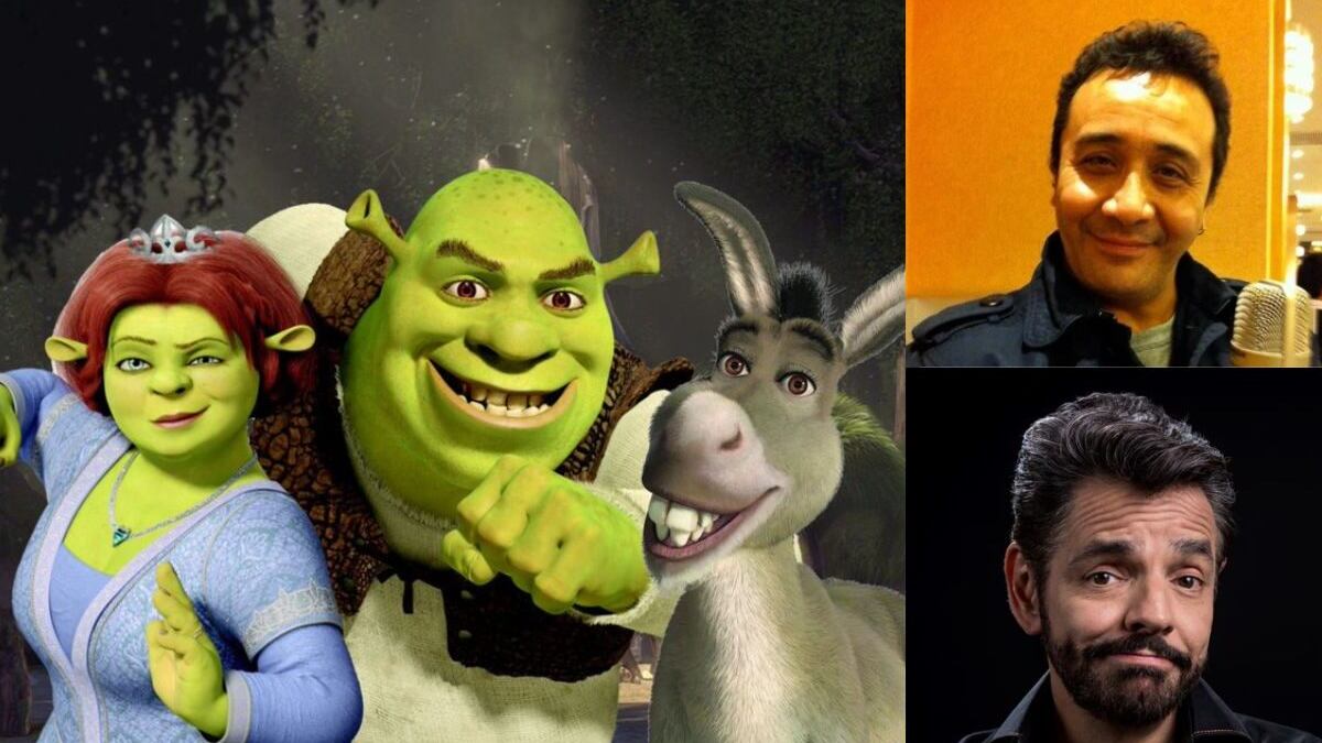 'Shrek 5'