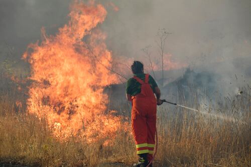 Italia arde por incendios forestales; ola de calor alcanza 48 grados