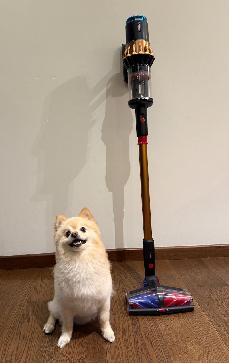 Con succión potente, cepillo anti enredos y luz que revela polvo invisible, pusimos a prueba la Piston Animal DS 60 de Dyson en un hogar lleno de retos peludos
