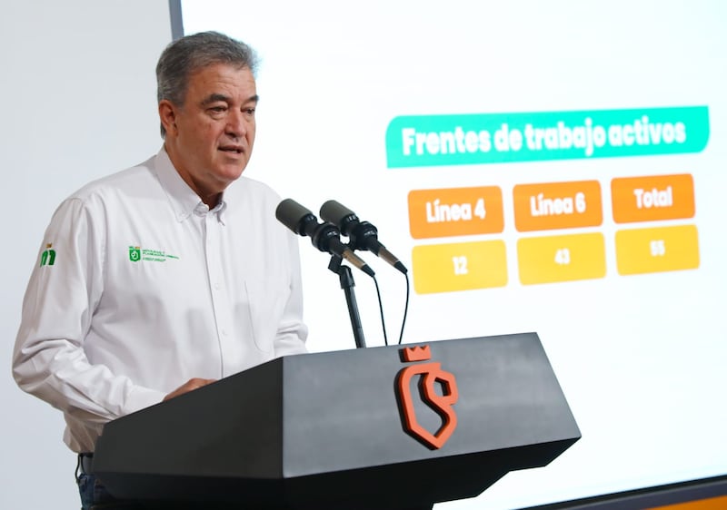 Como parte del proyecto, se informó la llegada de tres trenes adicionales para el mes de julio.