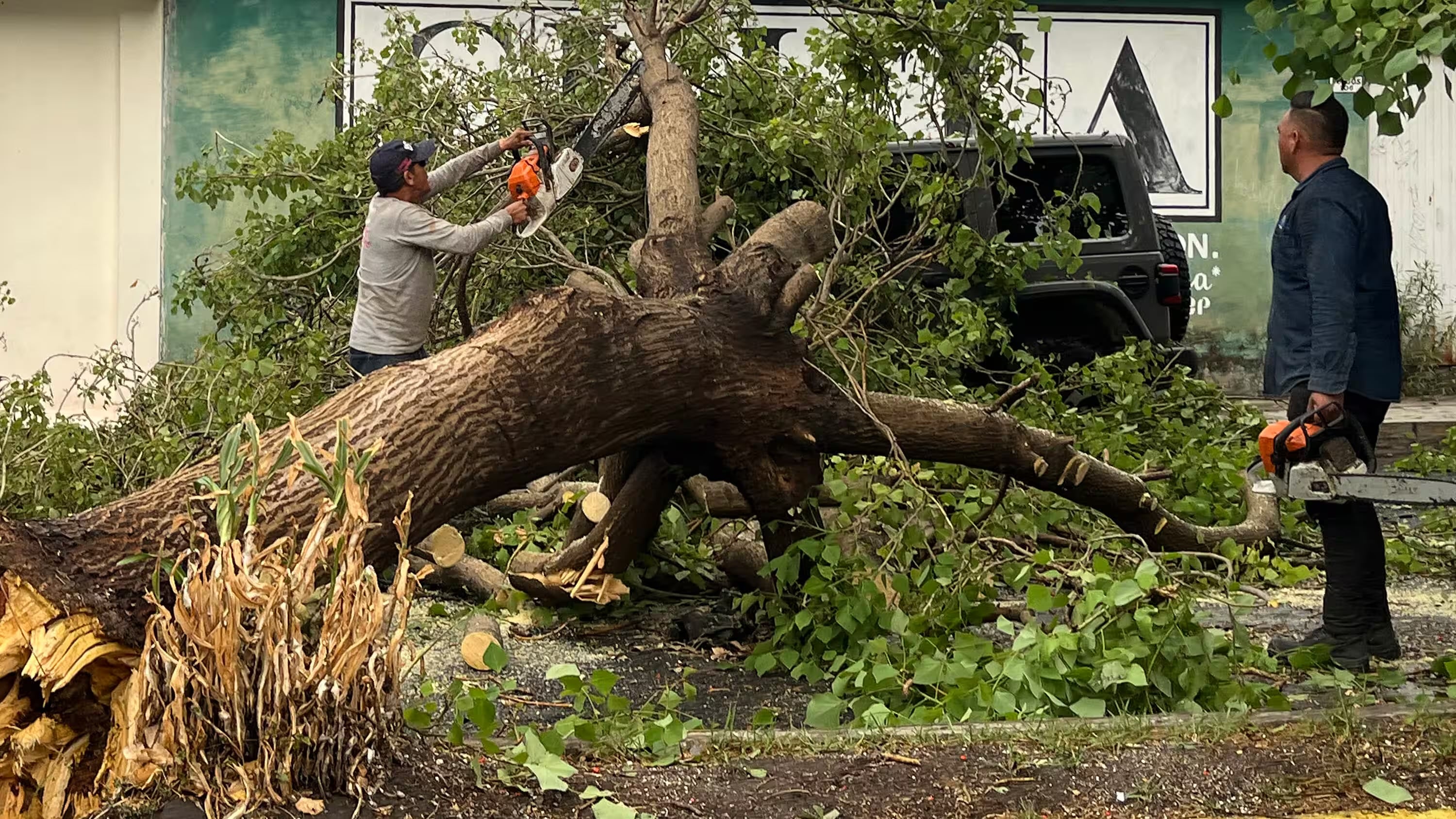 Talan la mitad de parque en Las Hadas por obras del tren México-Querétaro