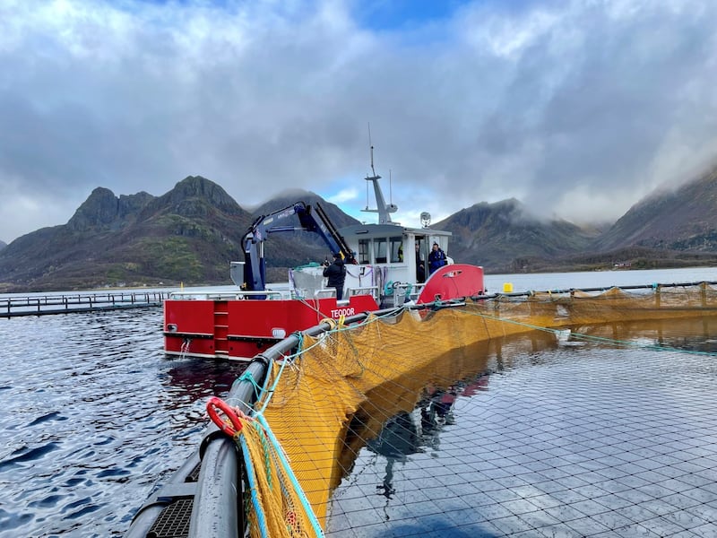 Bacalao noruego sustentable