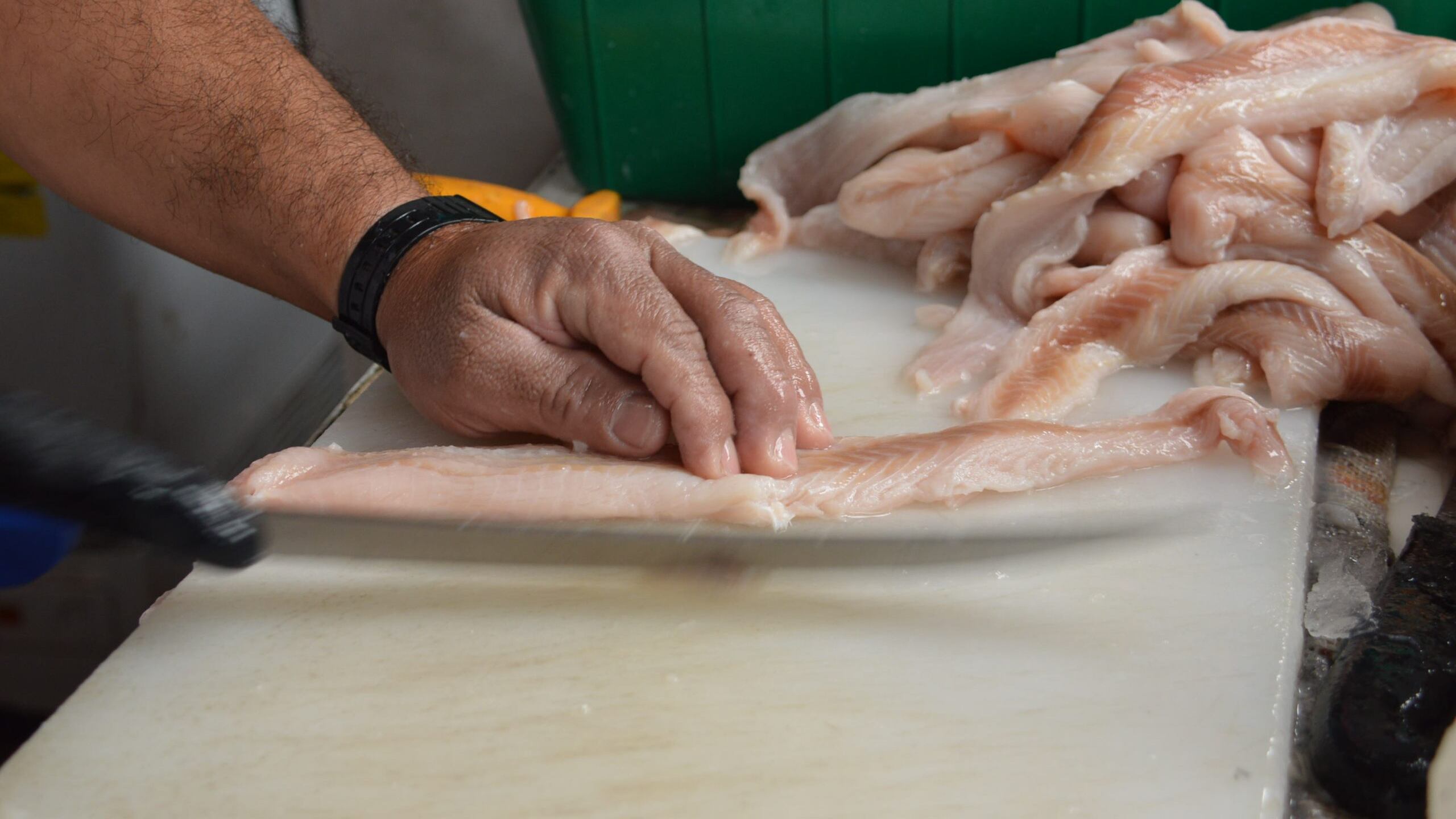Autoridades sanitarias supervisan puntos de venta de mariscos durante la Cuaresma, para garantizar productos frescos y seguros para el consumo.