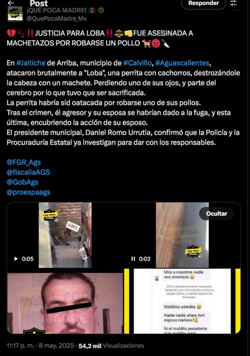 Loba Aguascalientes