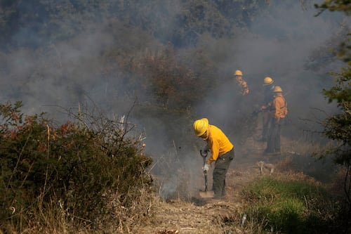 Incendios forestales ya afectan a seis municipios de Puebla; refuerzan prevención