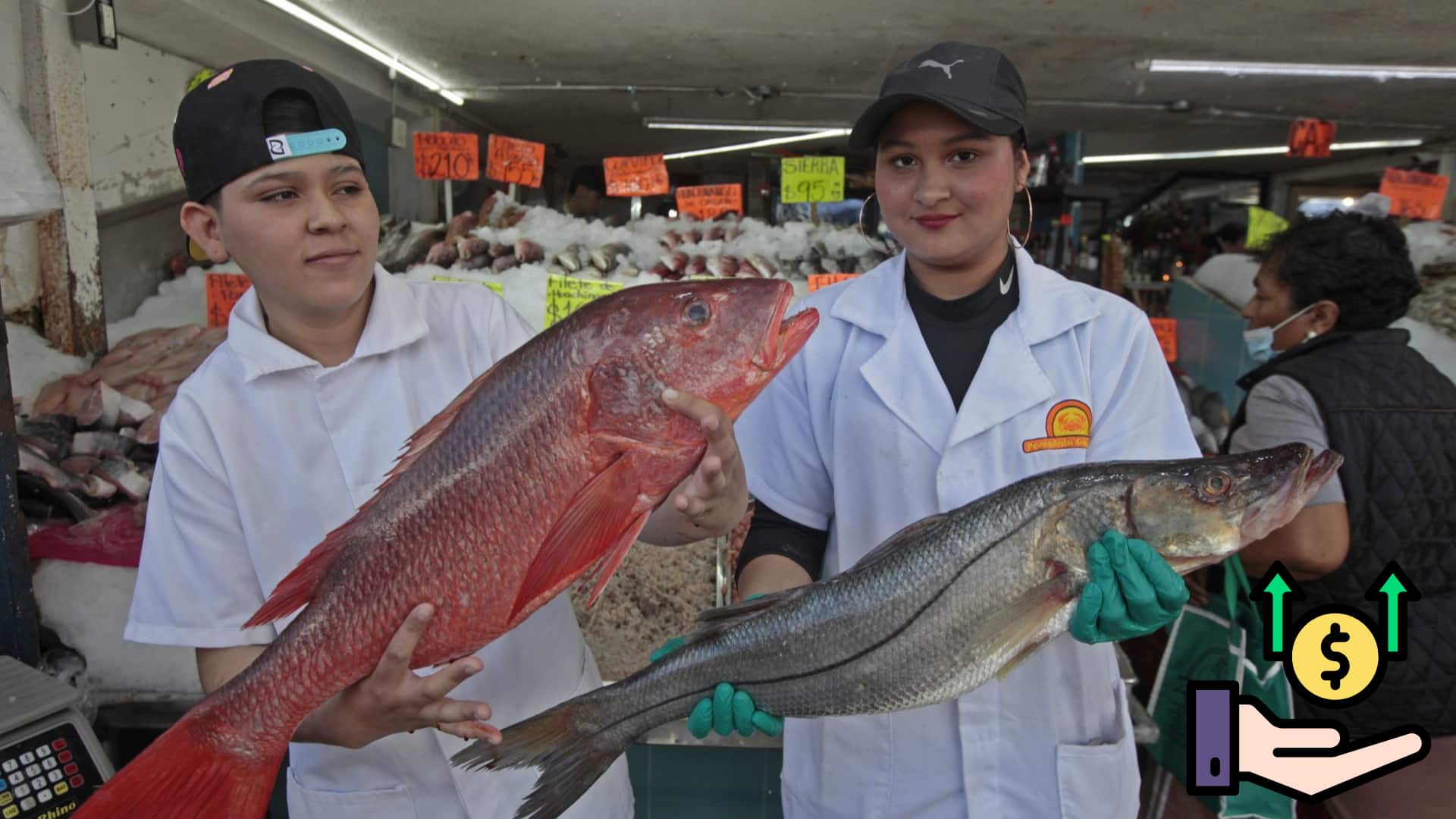 El precio del pescado reporta un alza general de 18%: langosta, salmón y guachinango son los más costosos; lisa, jurel y gurrubata, lo más barato.
