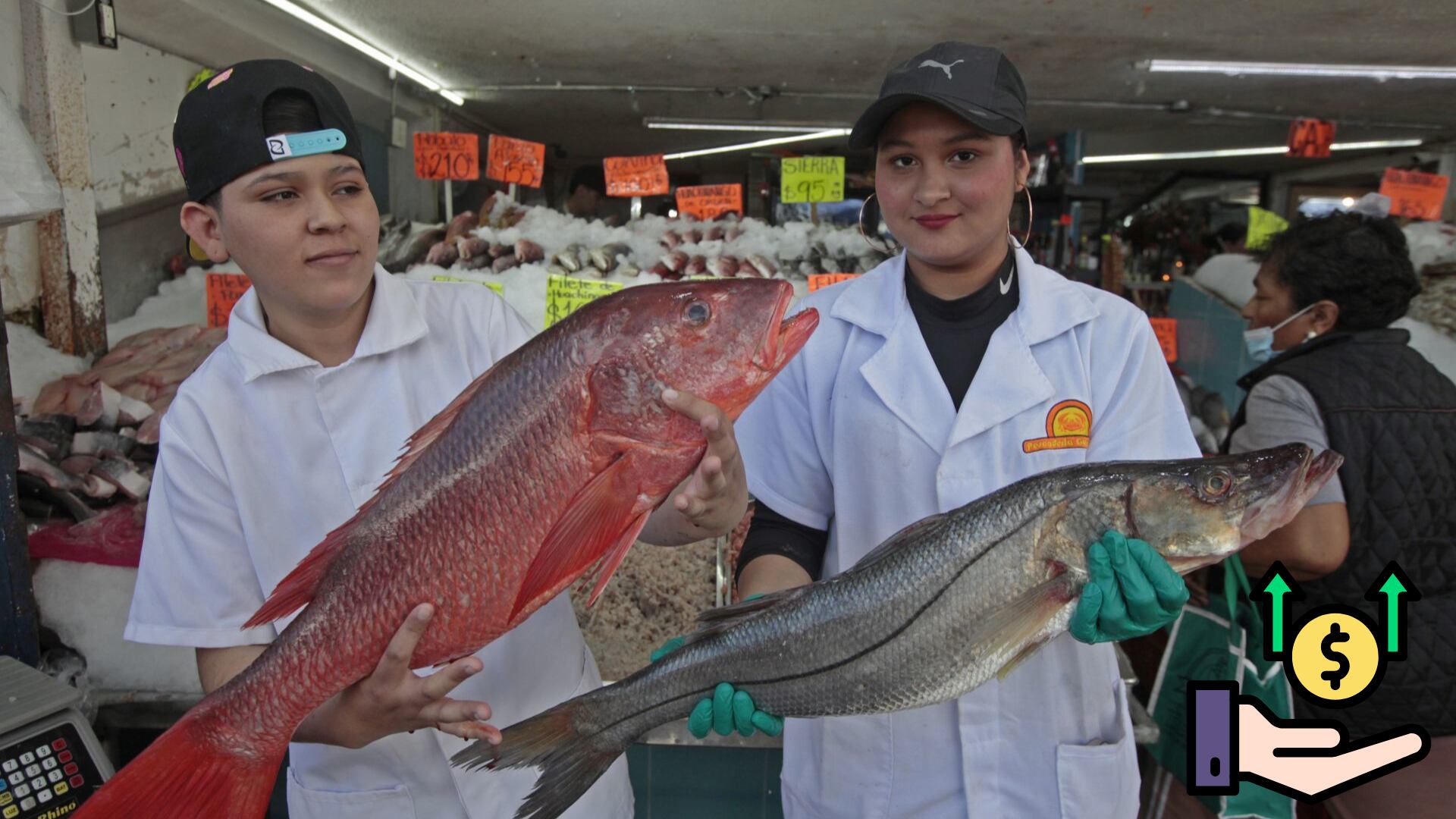 El precio del pescado reporta un alza general de 18%: langosta, salmón y guachinango son los más costosos; lisa, jurel y gurrubata, lo más barato.