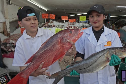 Alerta en Cuaresma: Precio del pescado obliga a gastar 10 días de salario