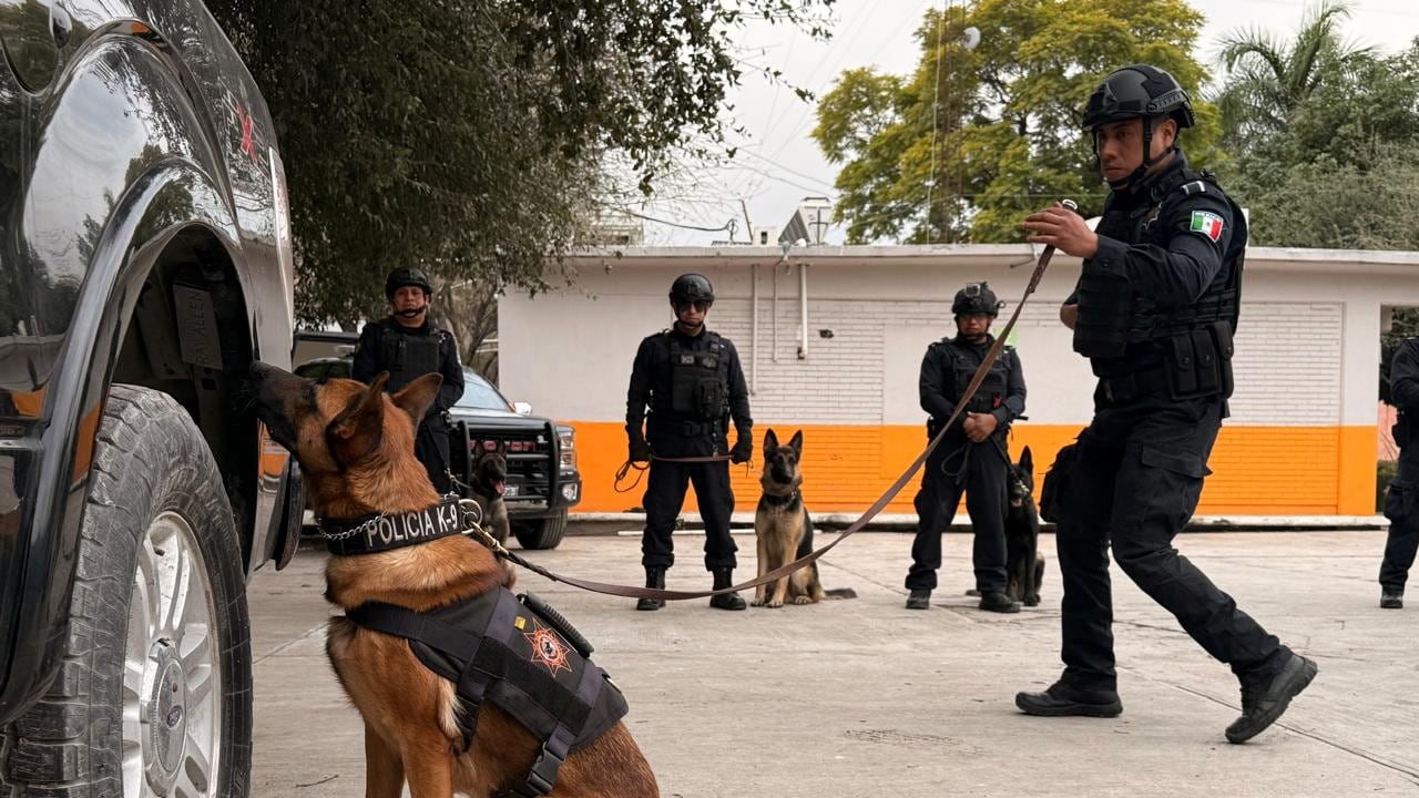 La Secretaría de Seguridad Pública, Protección a la Ciudadana y Prevención Social cuenta con nueve ejemplares caninos.