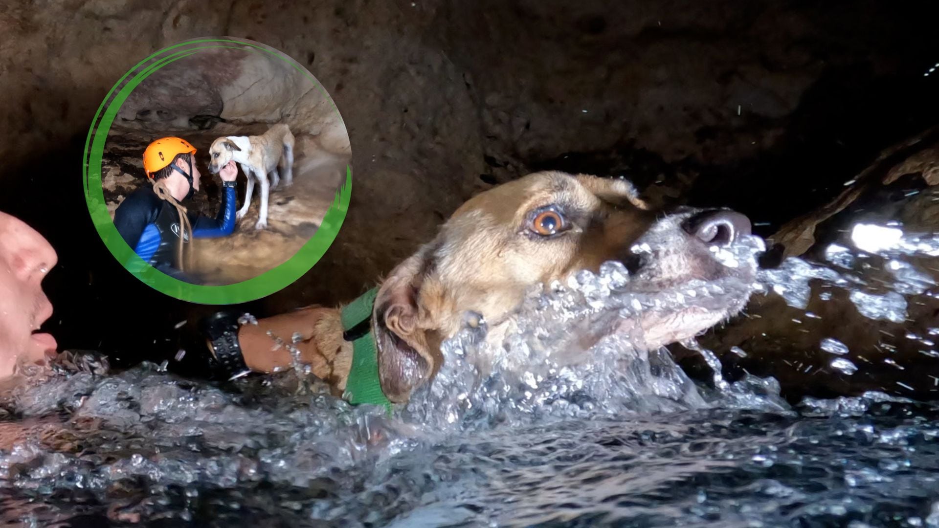 "Shakira" es conocida por los pobladores, ya que frecuenta la gruta cuando acompaña a los turistas en sus recorridos.