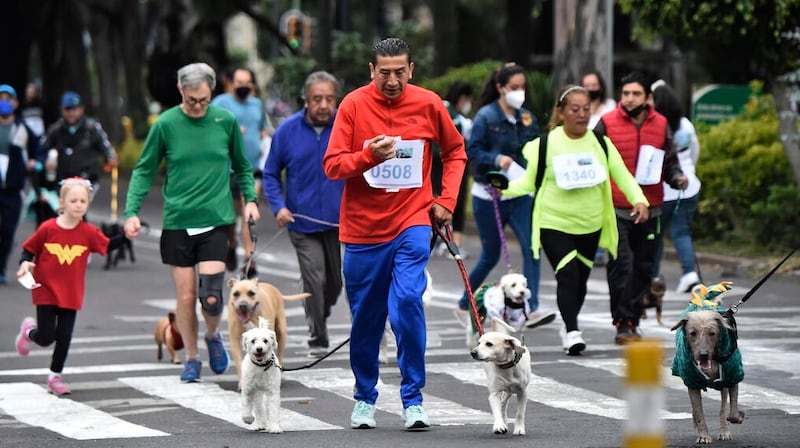 carrera de mascotas CDMX