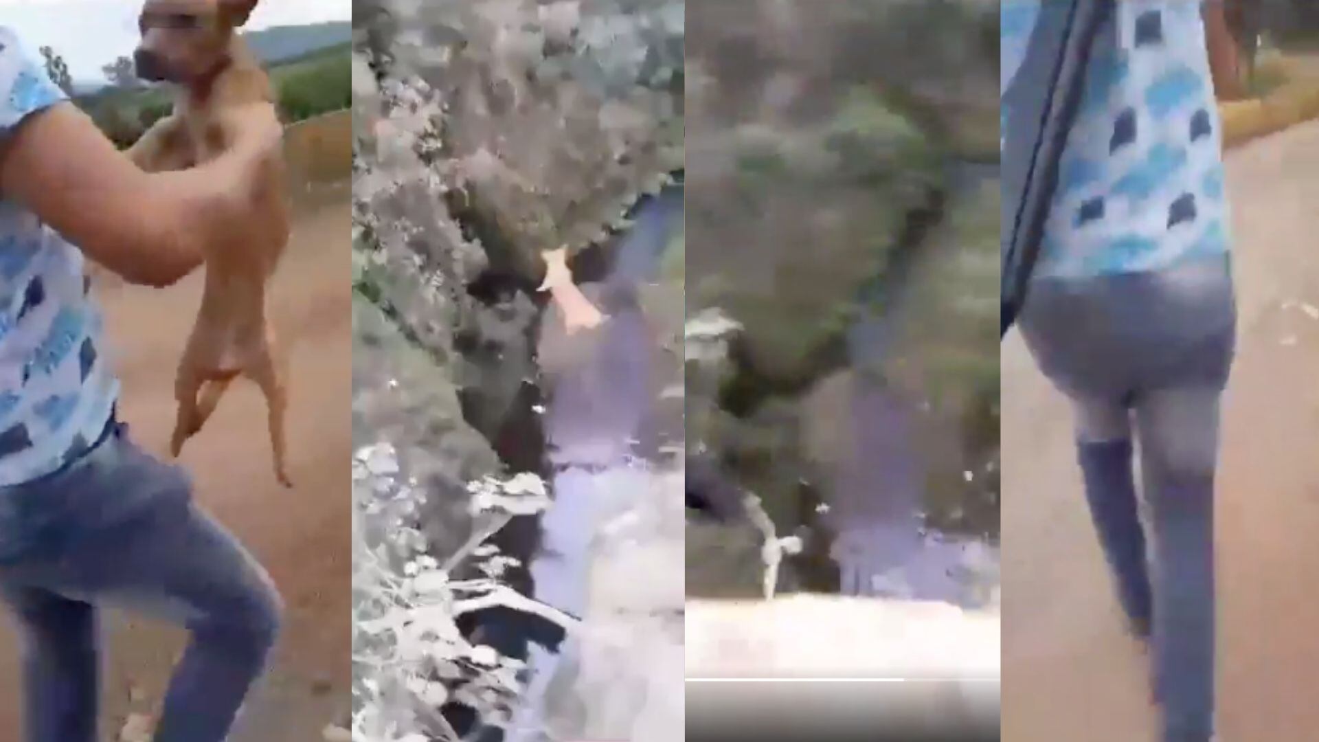 El video lleva un par de días circulando en redes sociales y hasta el momento ninguna autoridad se ha pronunciado.