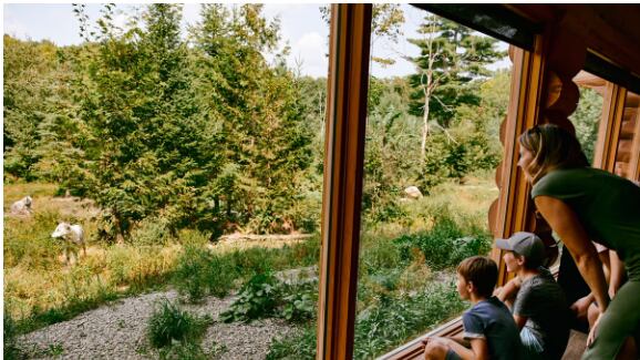 Para vivir experiencias inigualables, organice un viaje a la región Outaouais. Una región de Quebec situada a pocos pasos de la capital de Canadá.