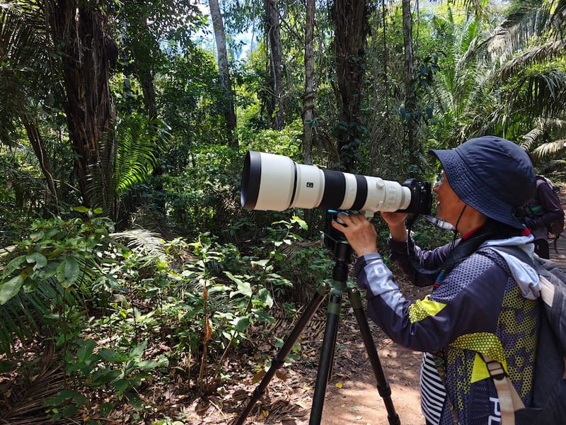 Desde Lima hasta Puerto Maldonado, te contamos cómo vivir una experiencia inmersiva en la selva amazónica. Hospedaje, gastronomía local y los mejores tours para explorar ríos, lagos y canopy en uno de los destinos más biodiversos del mundo