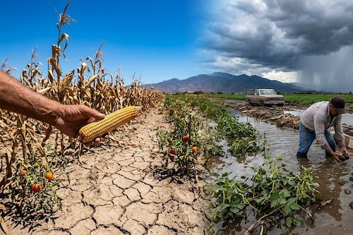 Súper Niño amenaza tu comida: inflación puede explotar otra vez