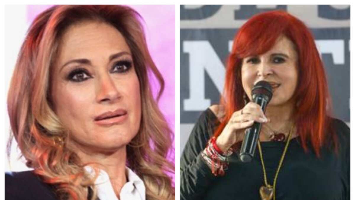 Mostraron una conversación entre la periodista y "Alito".