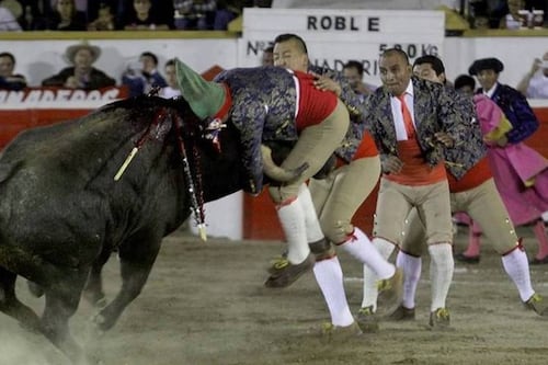 Veta gobernador de Sinaloa ley que prohibe la tauromaquia