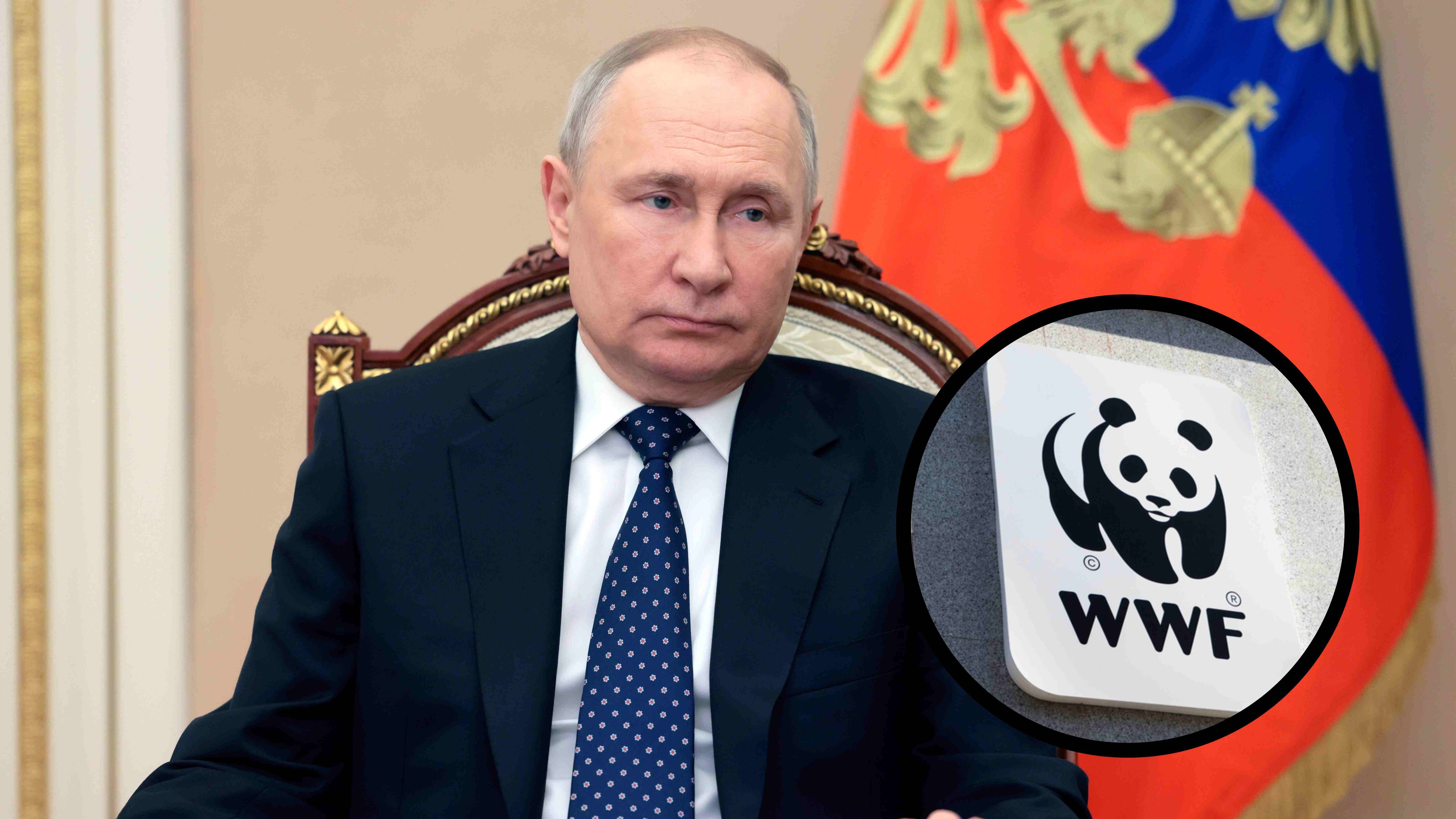 Rusia incluye en su lista de agentes extranjeros a la empresa en favor de la naturaleza WWF