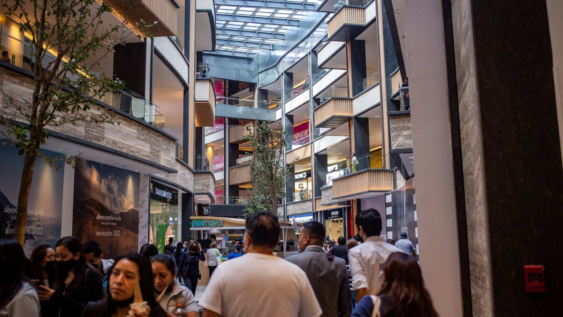 Para este Buen Fin existe una amplia oferta para adquirir productos.