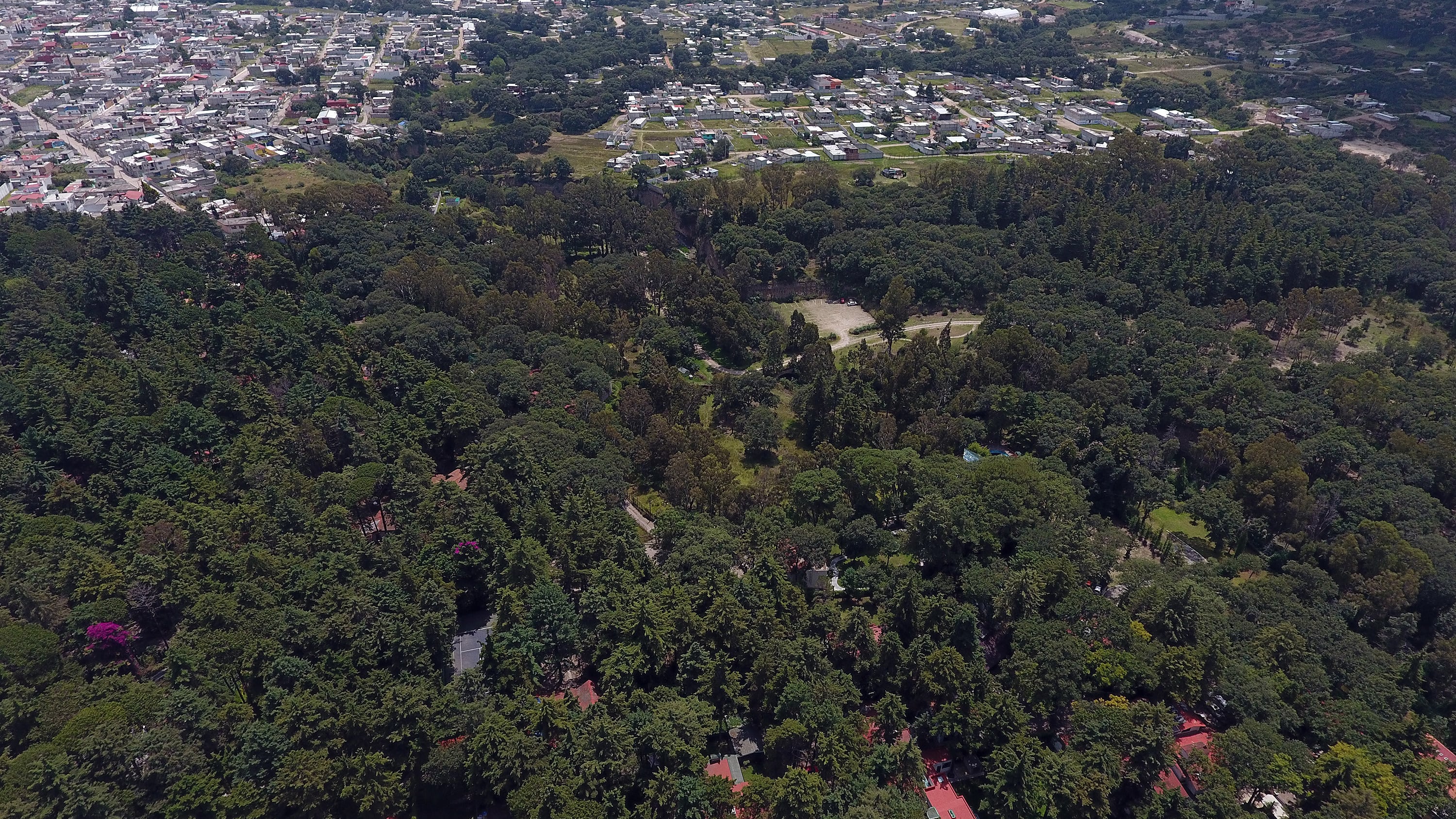 FOTO: Agencia Enfoque