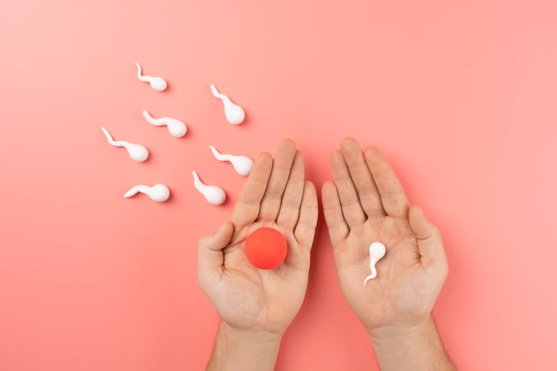 México se posiciona a la vanguardia de la medicina reproductiva con la llegada de un software que permite analizar más de 2 mil genes en embriones