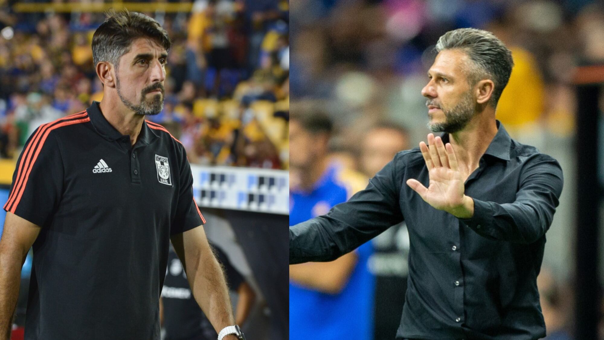 Paunovic y Demichelis