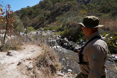 Bosque La Primavera recibe visita histórica de casi 47 mil personas durante Semana Santa