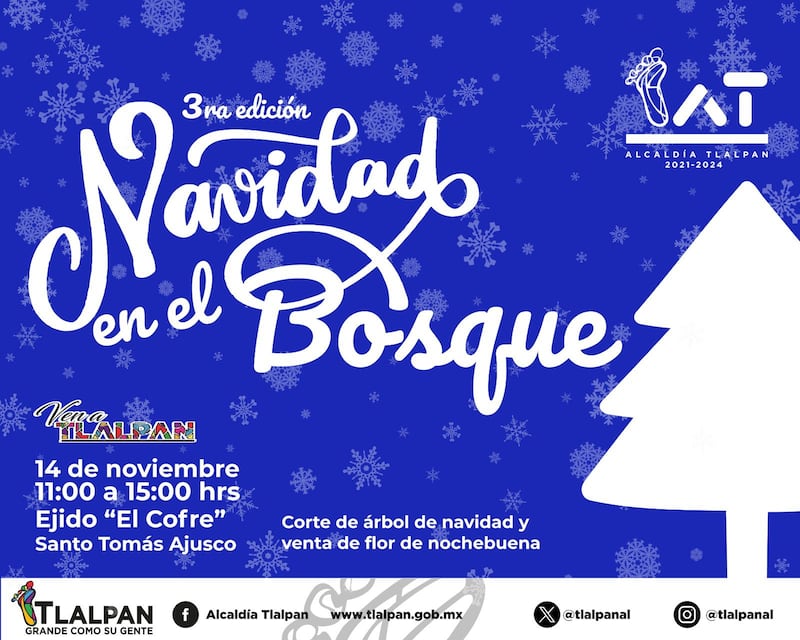 Venta de árboles de navidad Tlalpan