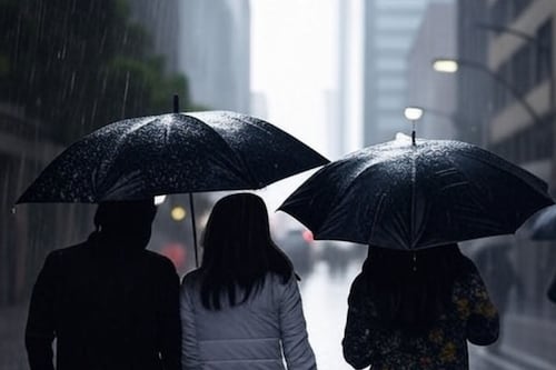 Pronóstico del clima miércoles 26: CDMX recibe los severos efectos del Frente Frío 16