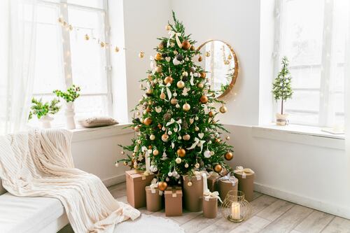 Cómo cuidar el árbol de Navidad para que sobreviva durante las fiestas