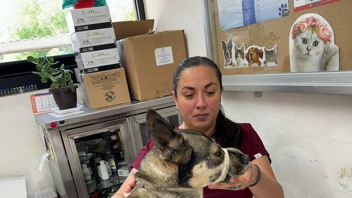 Se encuentra en buen estado de salud.