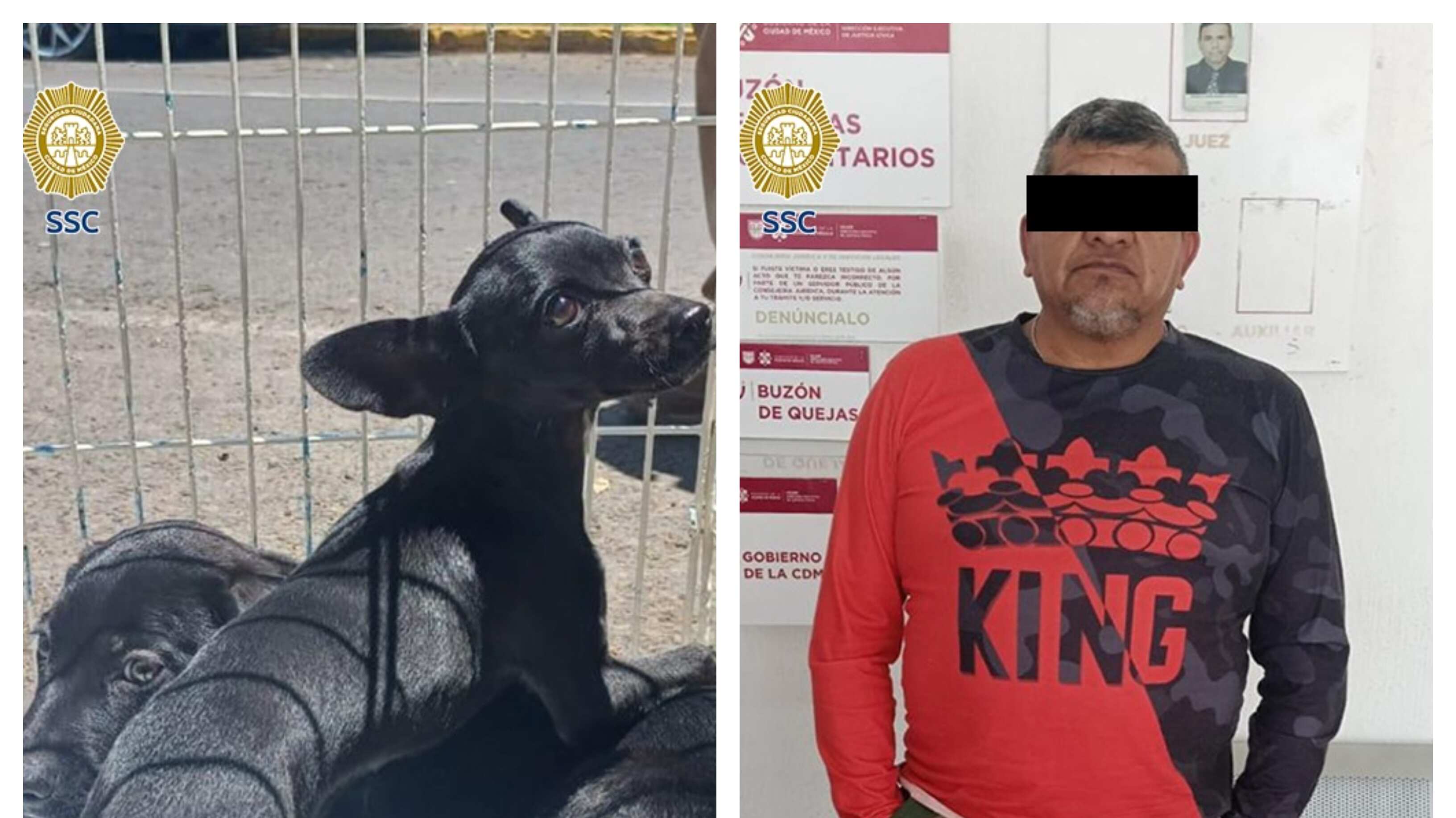 Venta de animales en la CDMX