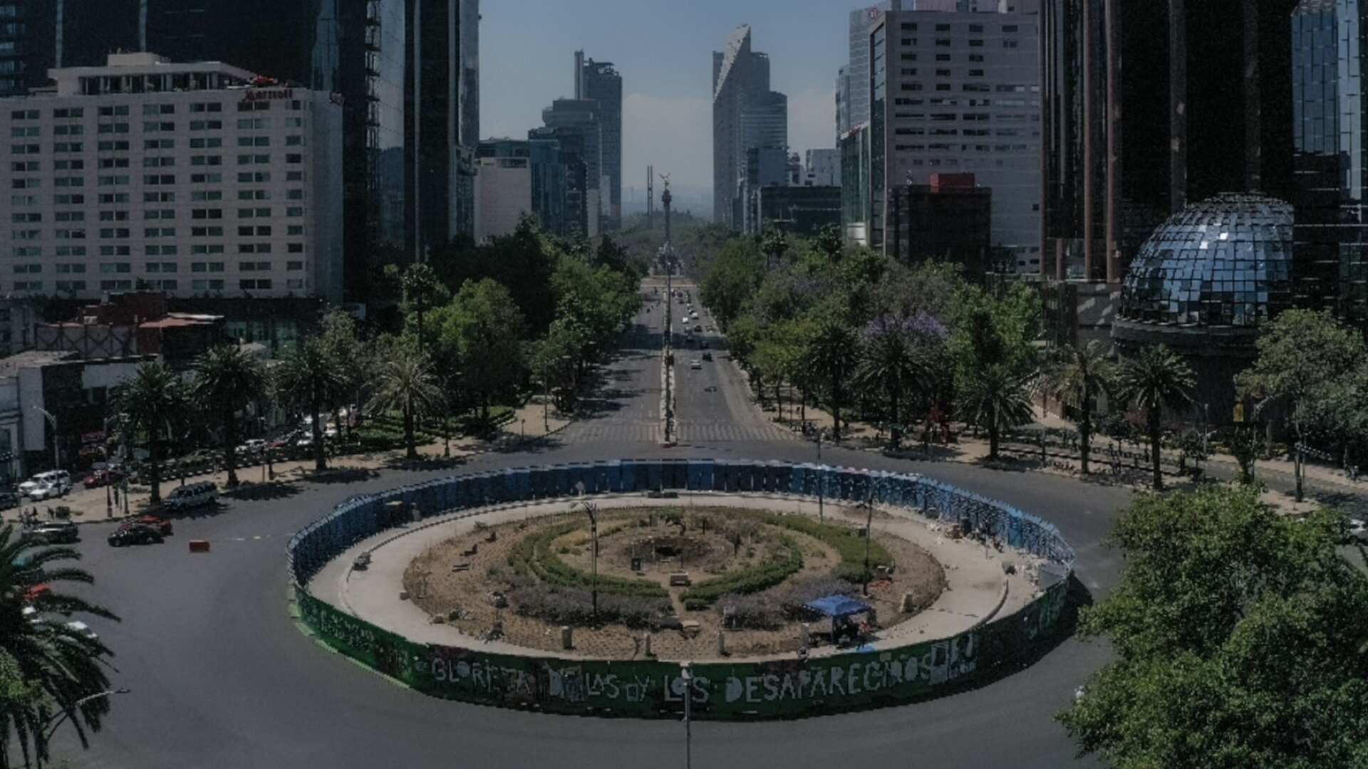 Ahuehuete motivos del retiro anticipado de Paseo de la Reforma