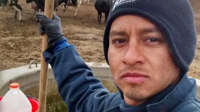 Los veterinarios fueron obligados a trabajar 14 horas en condiciones insalubres