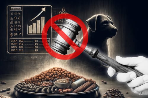 “Pueden pagarlo”: SCJN niega retirar el IVA al alimento de mascotas