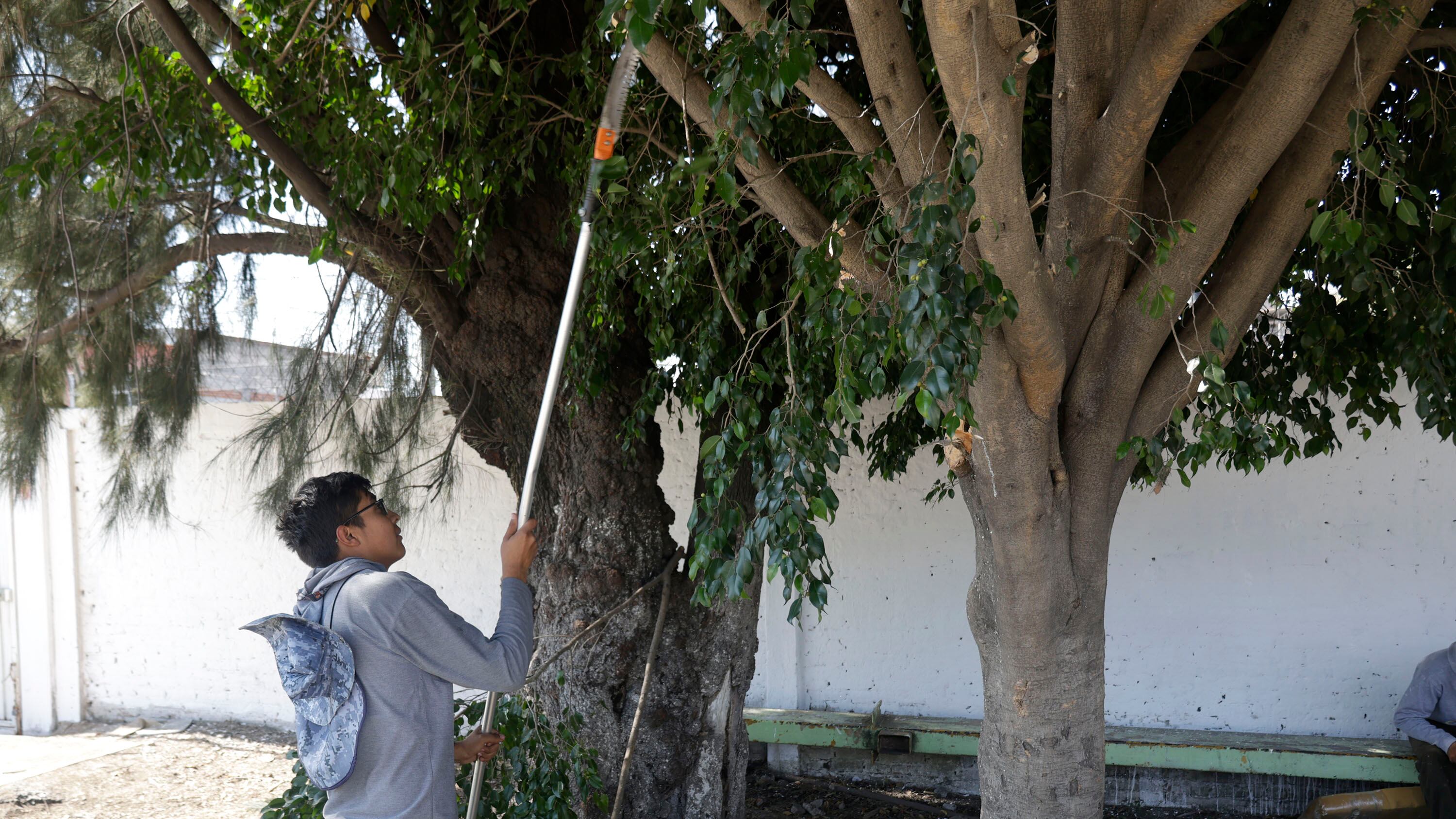 FOTO: Rafael Pacheco/Agencia Enfoque