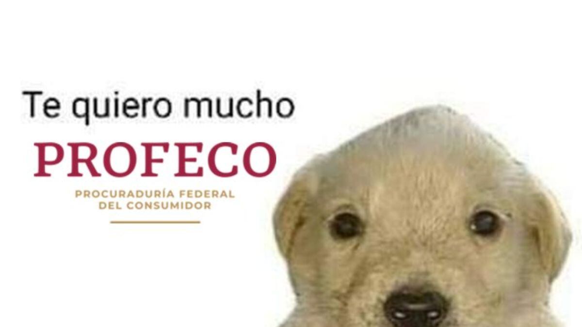 Profeco recibe elogios en redes tras victoria contra Cartier por error en precio de aretes