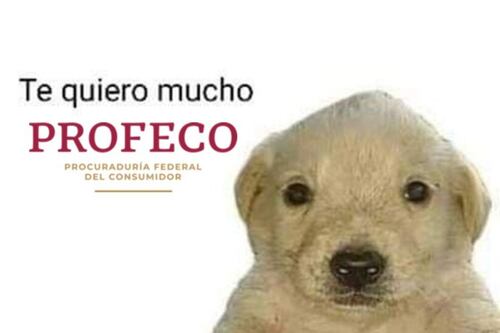 Profeco recibe elogios en redes tras victoria contra Cartier por error en precio de aretes