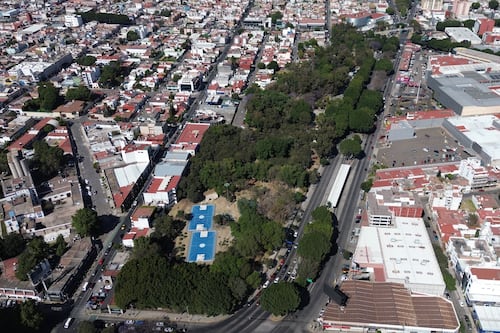 Ayuntamiento de Puebla invertirá hasta 8 mdp en reforestación urbana y rural