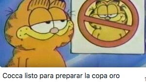 Memes Selección Mexicana