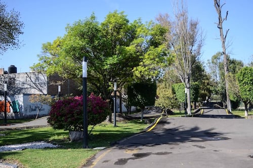 Decreto de Parque Alcanfores, listo en febrero