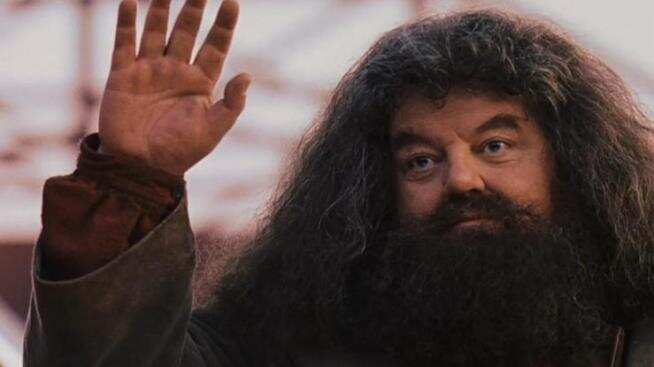 Hagrid en Harry Potter