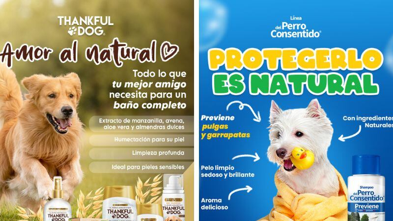 Cuida el pelaje de tu perro y evita que se alojen pulgas y garrapatas