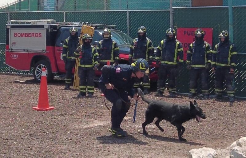 Togo Bombero CDMX