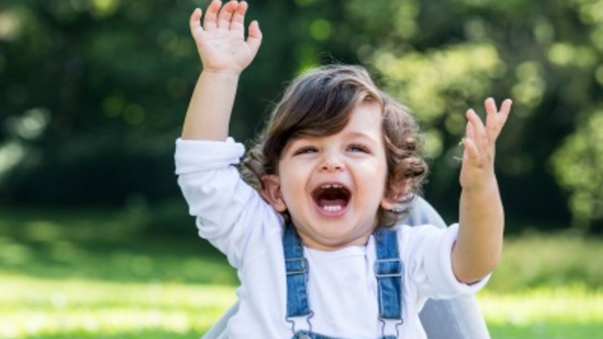 Dale un alimento natural y sano a tus hijos con HiPP