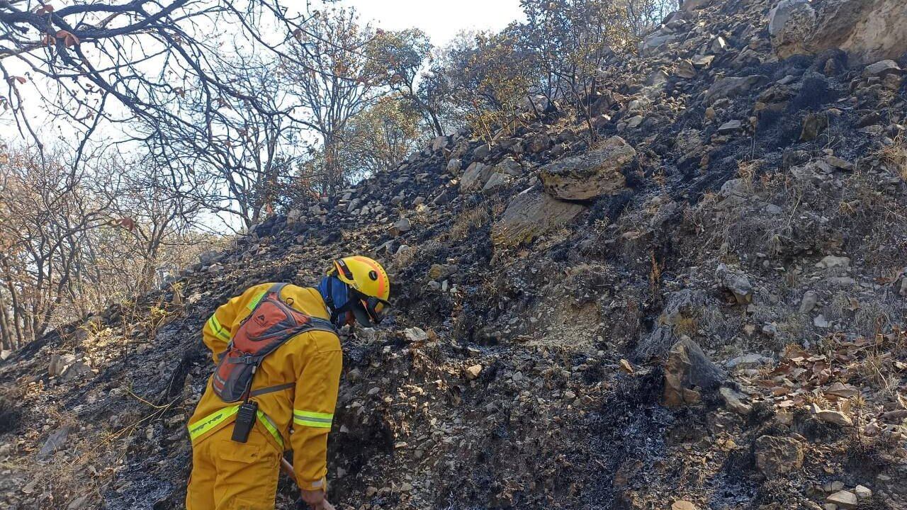 Incendios en Jalisco.