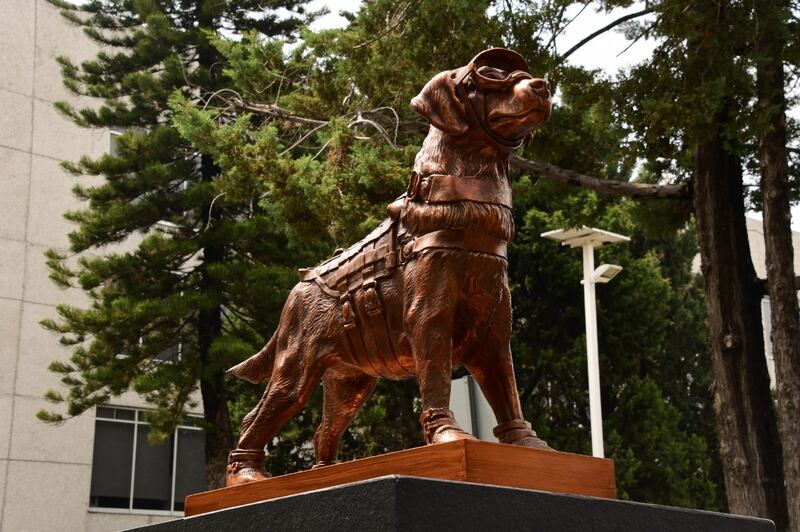 Escultura de la perrita rescatista Frida.
